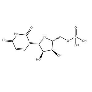 尿苷酸原料 保健品添加劑 核苷酸中間體