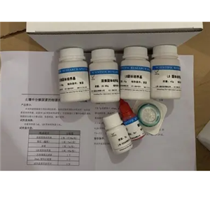 人腺病毒D73型探針法熒光定量PCR試劑盒Human Adenovirus D73（HAdV-D73）