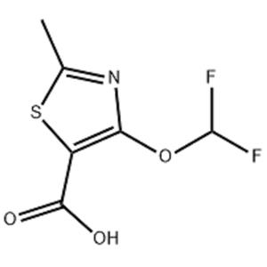 4-(二氟甲氧基)-2-甲基噻唑-5-羧酸