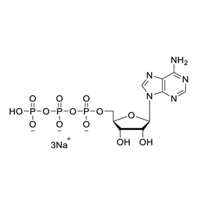 腺苷酸，腺苷三磷酸