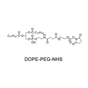 甲氧基聚乙二醇-二肉豆蔻?；字Ｒ掖及罚籑PEG-DMPE