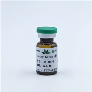 Trancer Green 超聲微泡造影劑