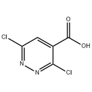 3,6-二氯噠嗪-4-羧酸