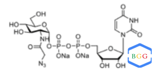 UDP-GlcNAz.,UDP-GlcNAz.