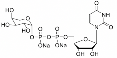 UDP-阿拉伯糖,UDP-b-L-arabinose