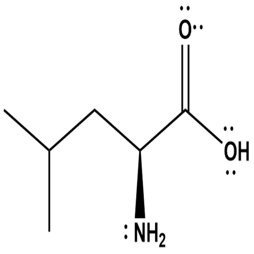 c6h13no2 lewis structure