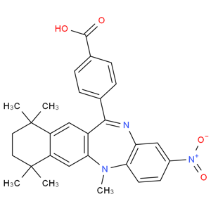 HX 531