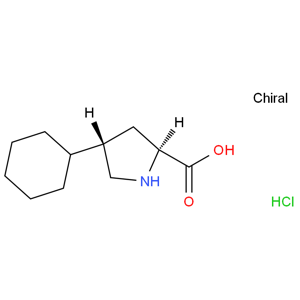 反式-4-環(huán)己基-L-脯氨酸鹽酸